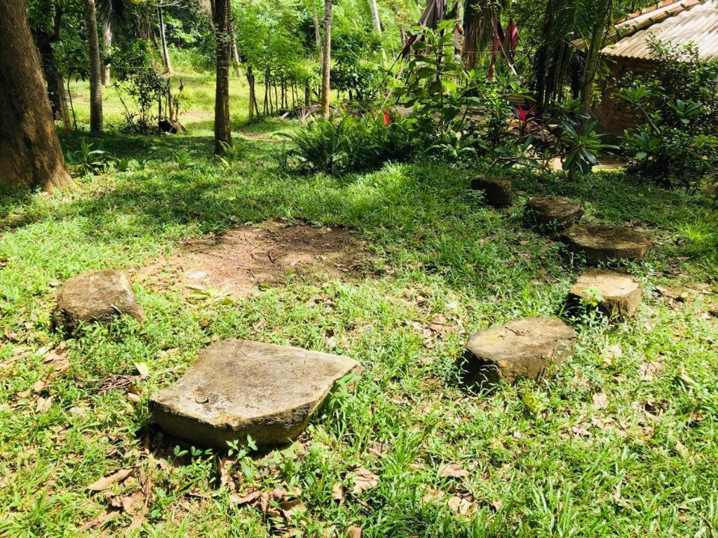 ディックウェラ Hidden Well Hiriketiyaホステル エクステリア 写真