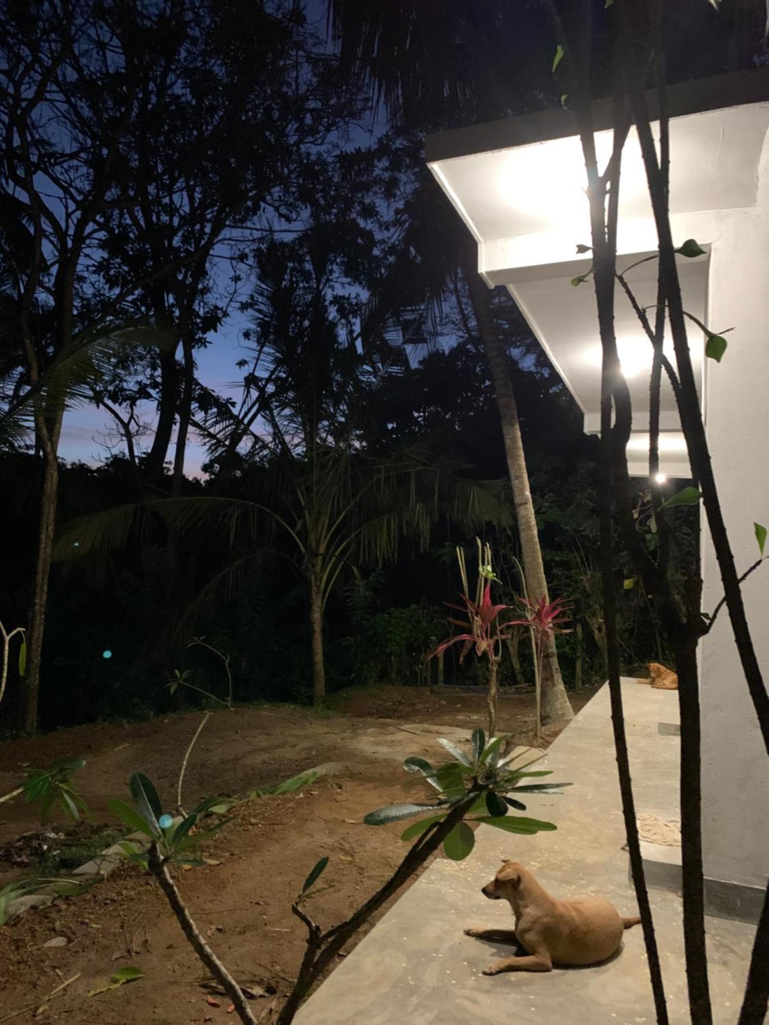ディックウェラ Hidden Well Hiriketiyaホステル エクステリア 写真