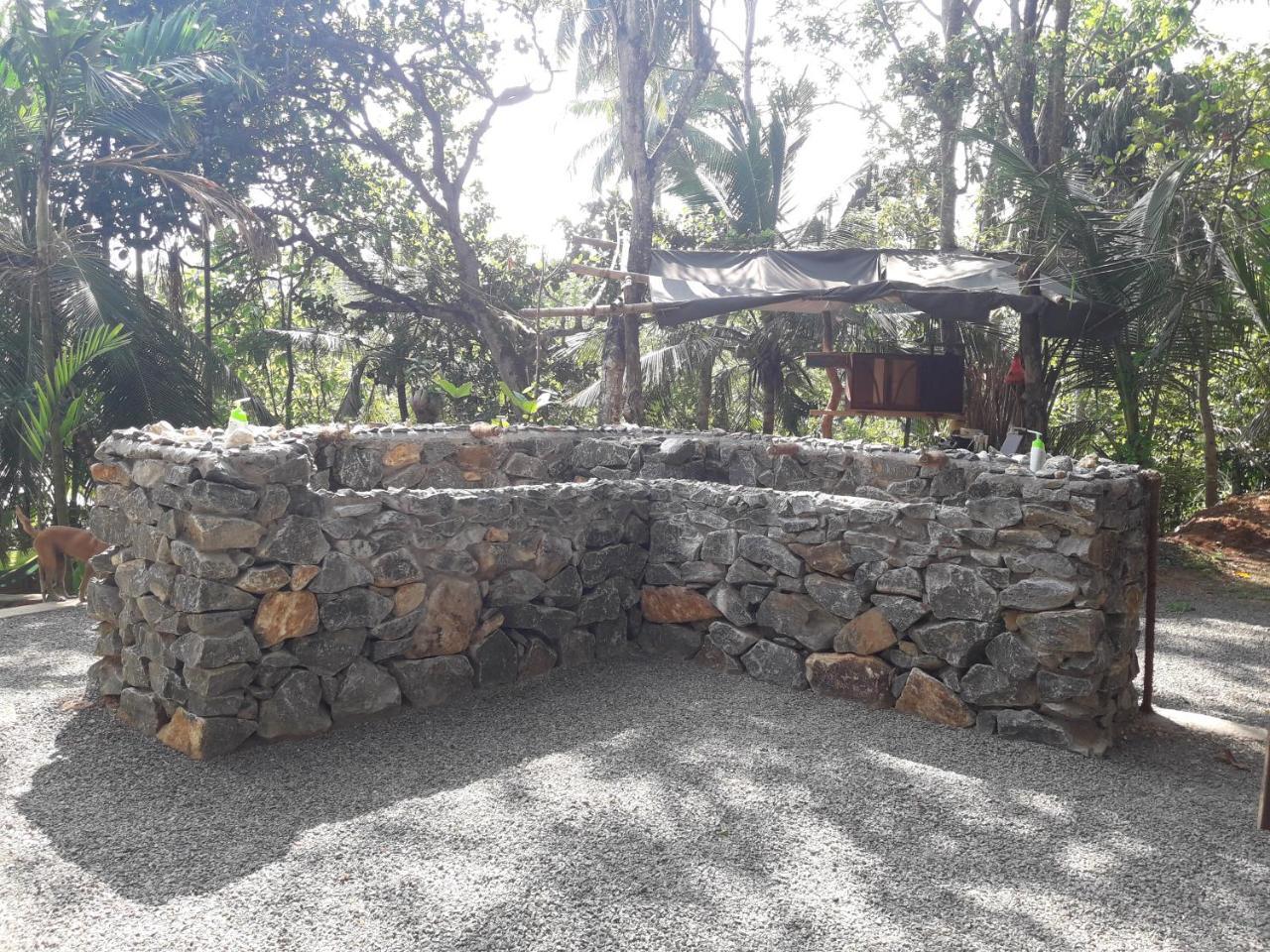 ディックウェラ Hidden Well Hiriketiyaホステル エクステリア 写真